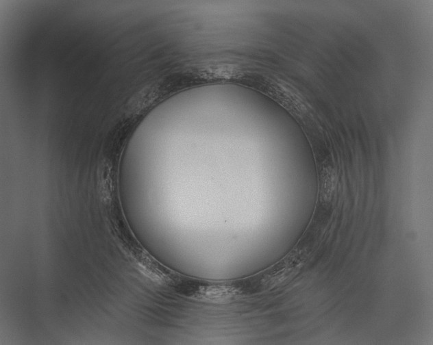 X0000076060414200610061541