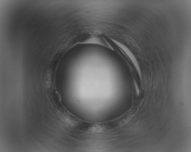 X0000076060416200610061541