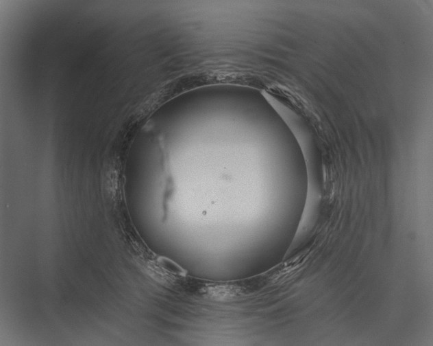 X0000076060417200610061541