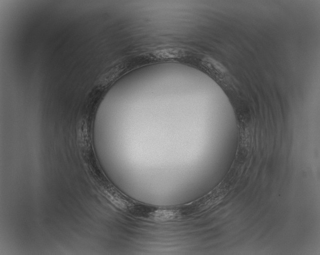 X0000076060418200610061541