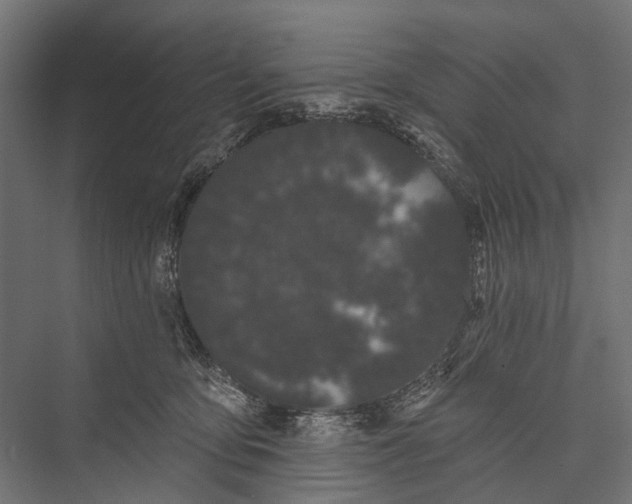 X0000076060419200610061541