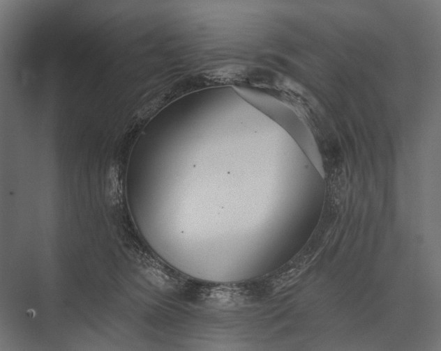 X0000076060420200610061541