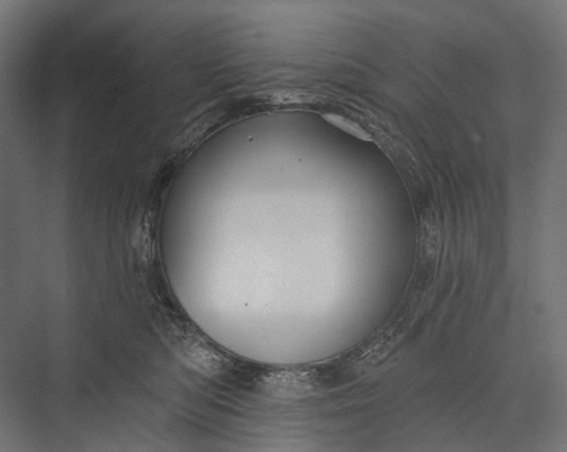 X0000076060422200610061541