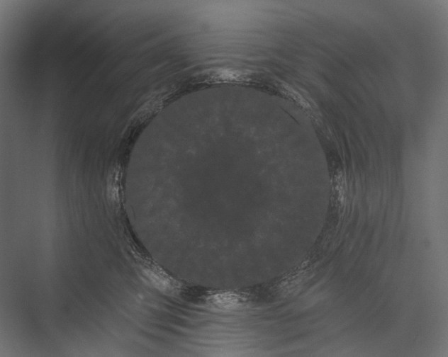 X0000076060423200610061541