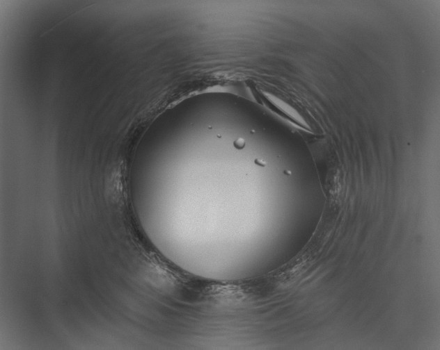 X0000076060424200610061541