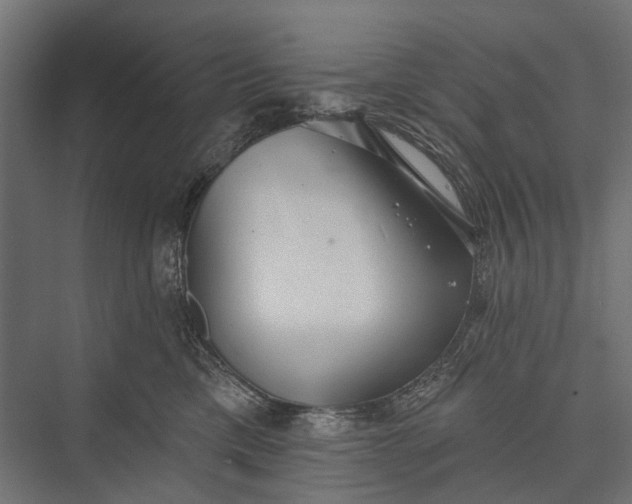 X0000076060425200610061541