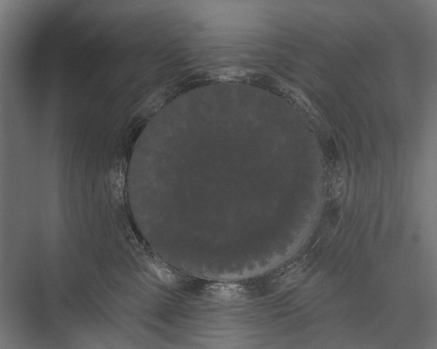 X0000076060427200610061541