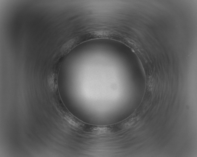 X0000076060428200610061541