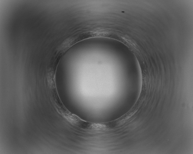 X0000076060429200610061541