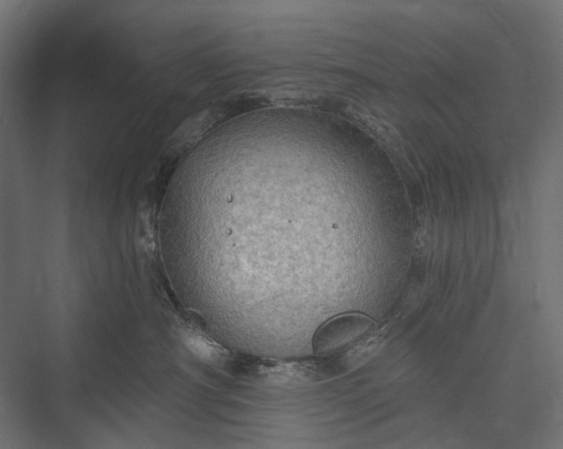 X0000076060430200610061541