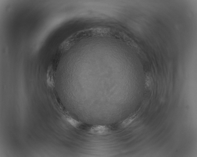 X0000076060431200610061541