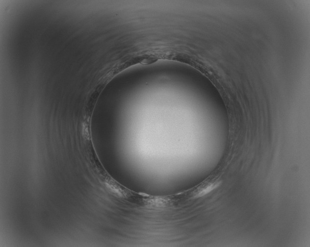 X0000076060432200610061541