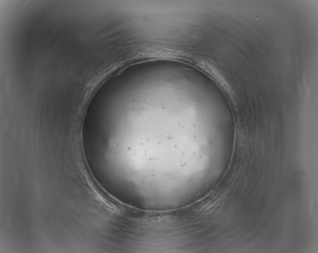 X0000076060433200610061540