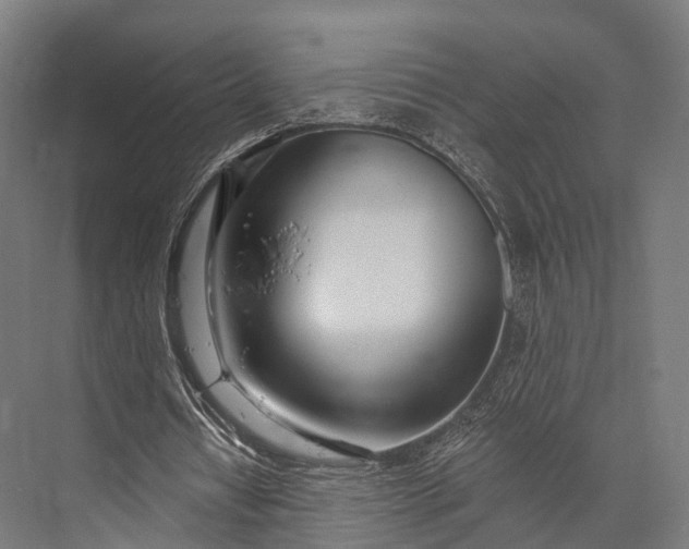 X0000076060434200610061540