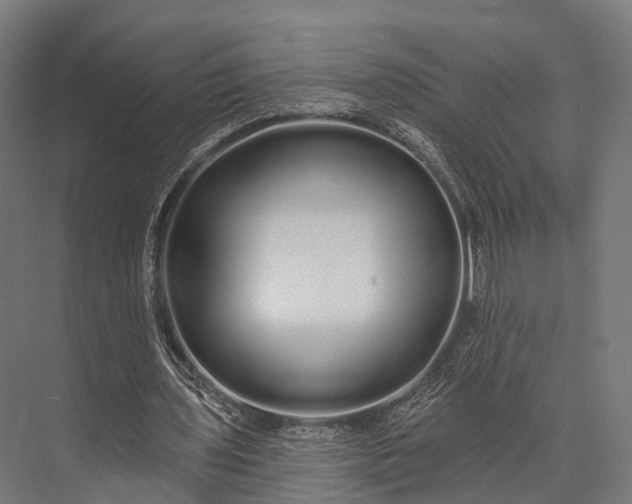 X0000076060435200610061540