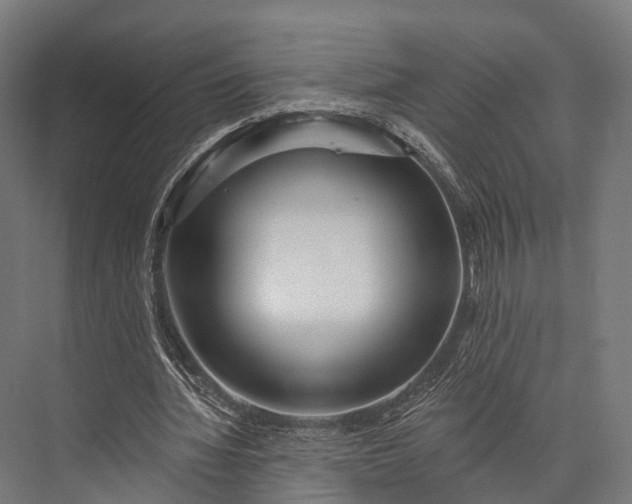 X0000076060436200610061540