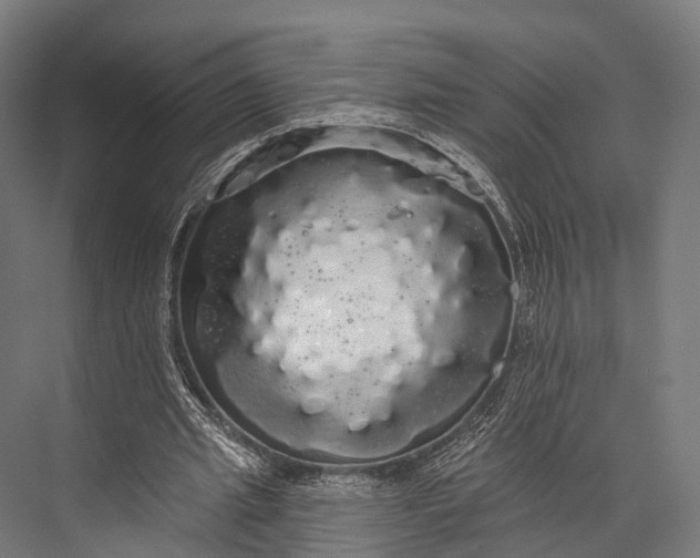 X0000076060437200610061540