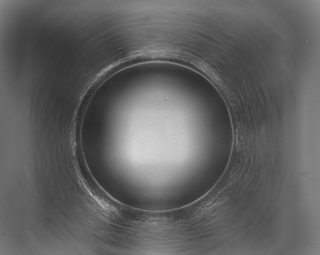 X0000076060438200610061540