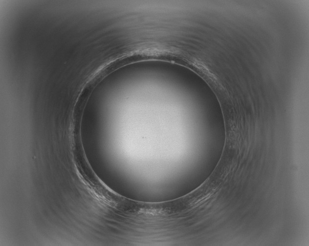 X0000076060440200610061540