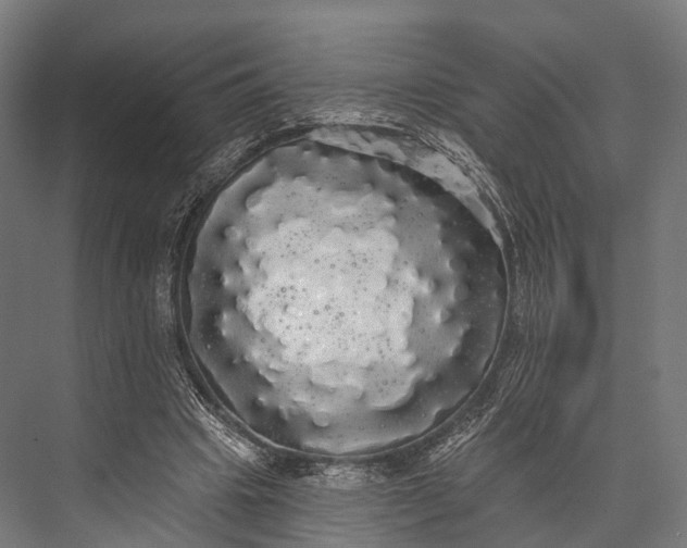 X0000076060441200610061540