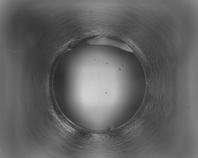 X0000076060442200610061540