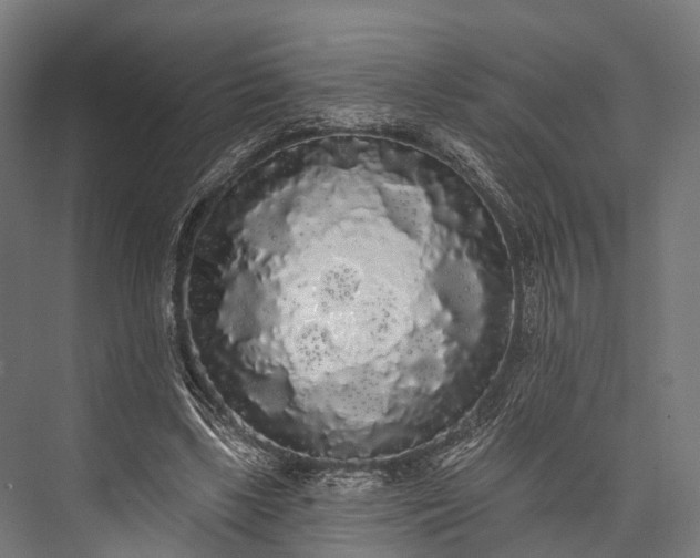 X0000076060443200610061540