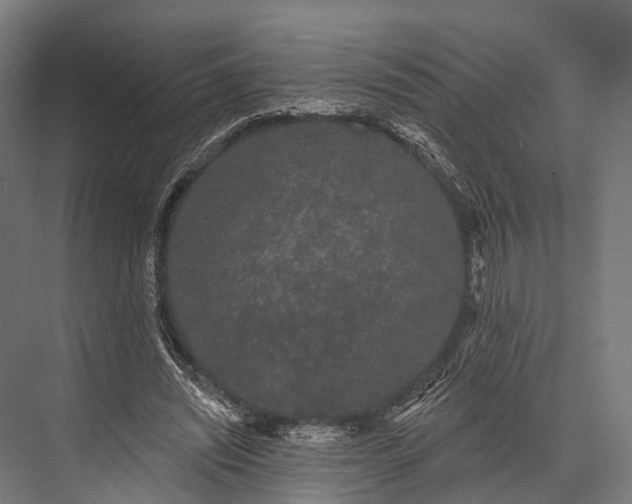 X0000076060444200610061540