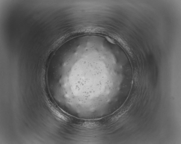 X0000076060445200610061540