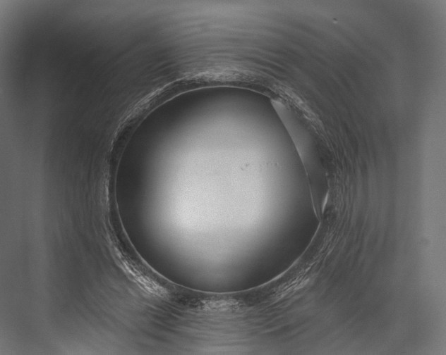 X0000076060446200610061540