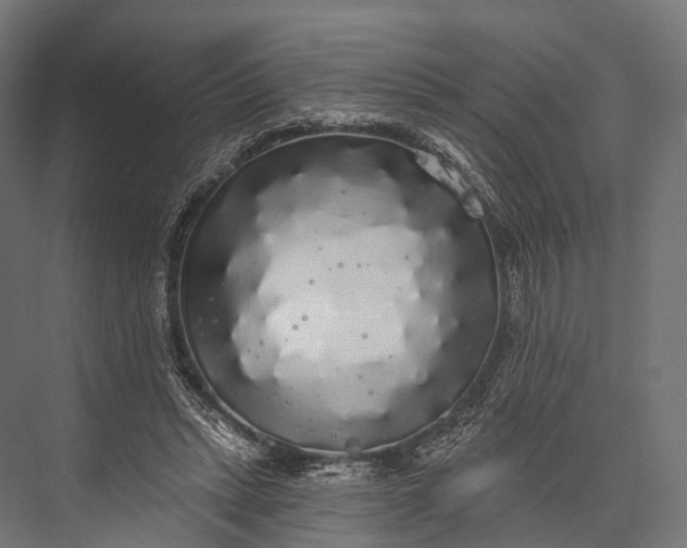 X0000076060447200610061540