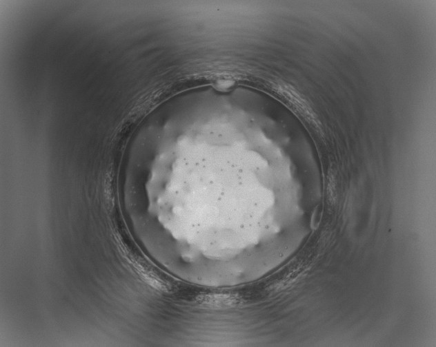 X0000076060449200610061540