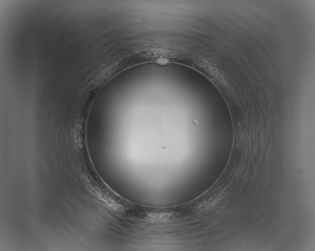 X0000076060450200610061540