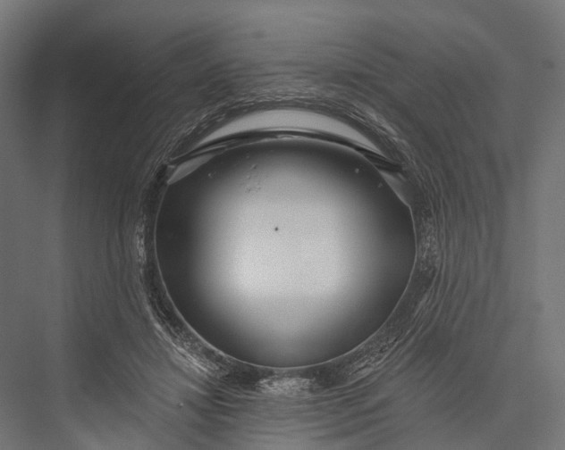 X0000076060452200610061540