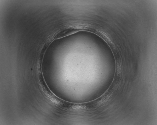 X0000076060453200610061540