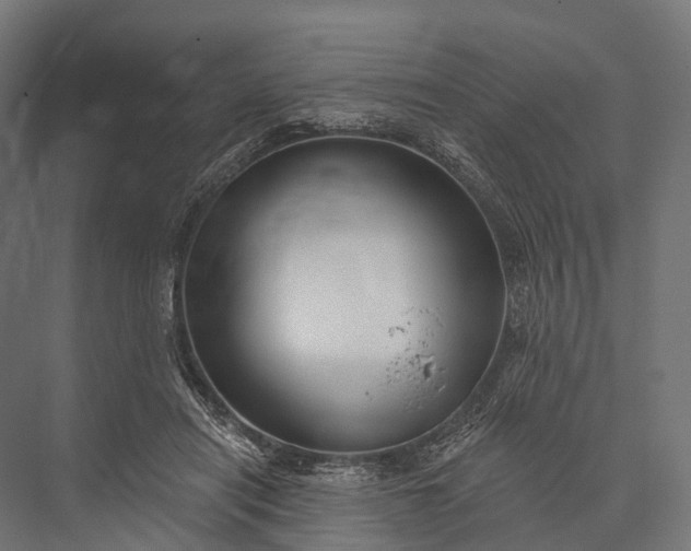 X0000076060454200610061540