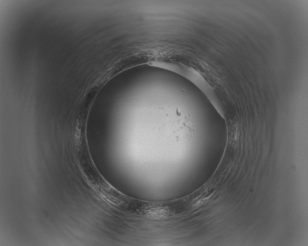 X0000076060456200610061540