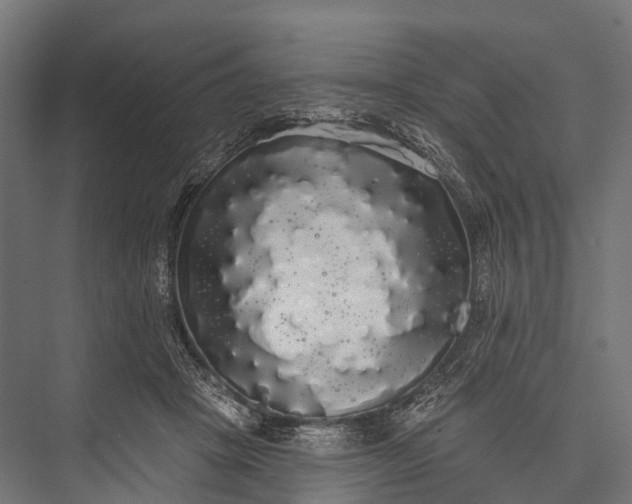 X0000076060457200610061540