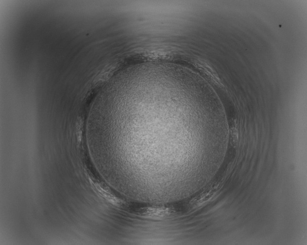 X0000076060458200610061540