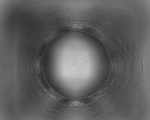 X0000076060460200610061540