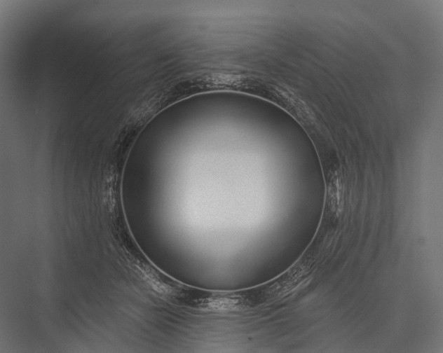 X0000076060462200610061540