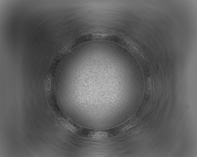 X0000076060463200610061540