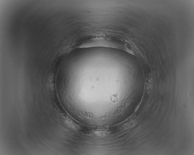 X0000076060466200610061541