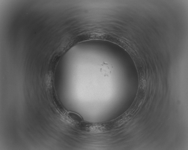 X0000076060468200610061541