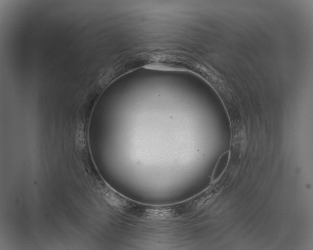 X0000076060469200610061541