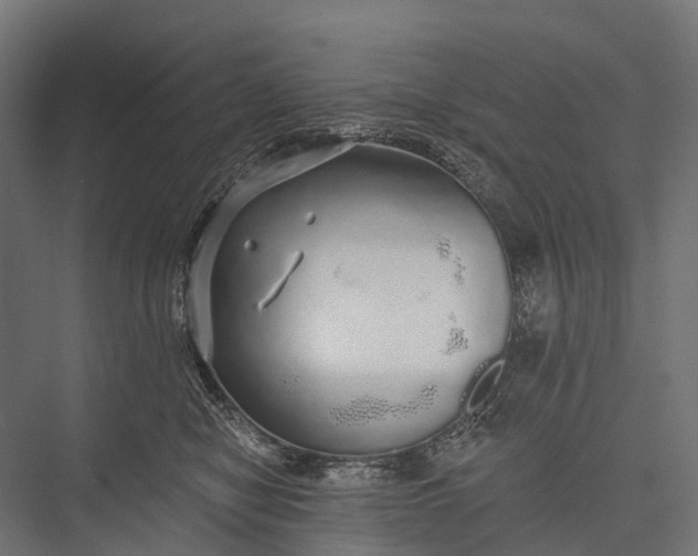 X0000076060470200610061541