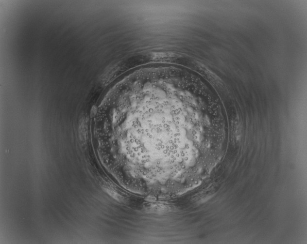 X0000076060475200610061541