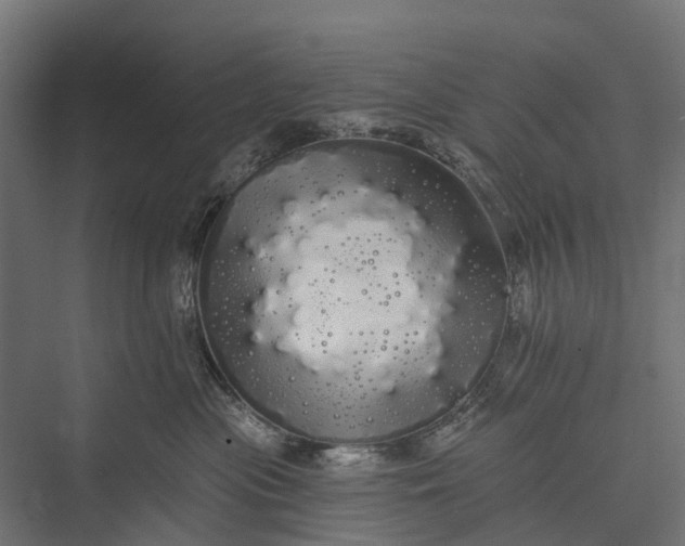 X0000076060477200610061541