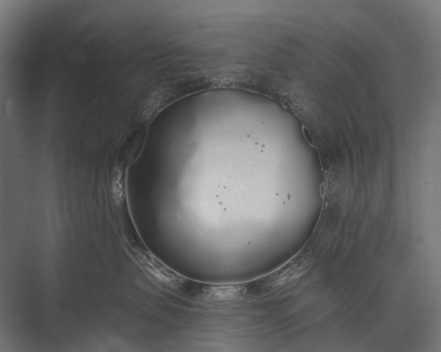 X0000076060479200610061541