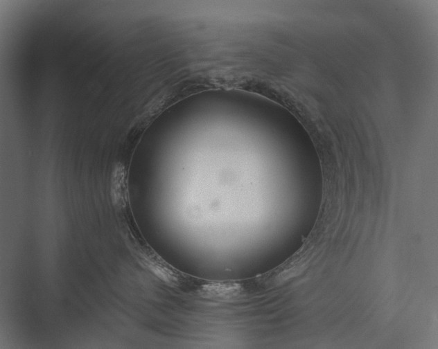 X0000076060480200610061541