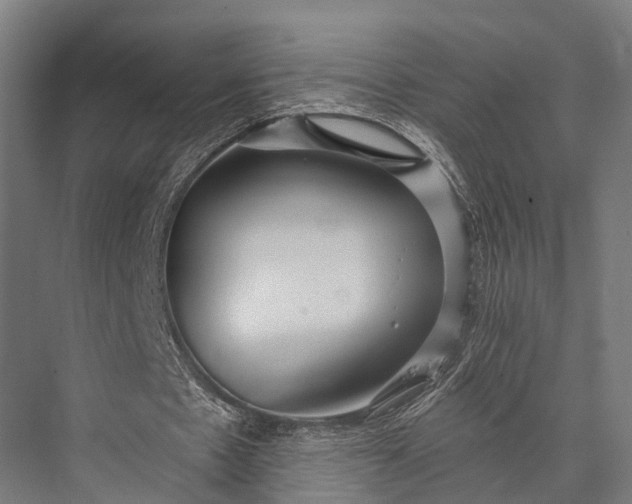 X0000076060481200610061540